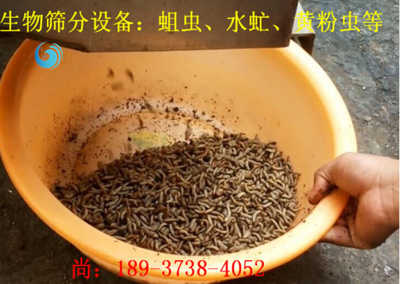 蛆虫筛选3层午夜成人免费视频APP